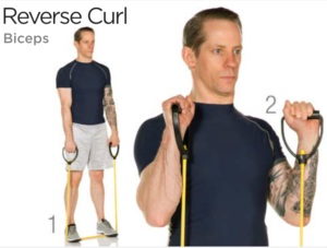 Omvända bicepscurls med gummiband