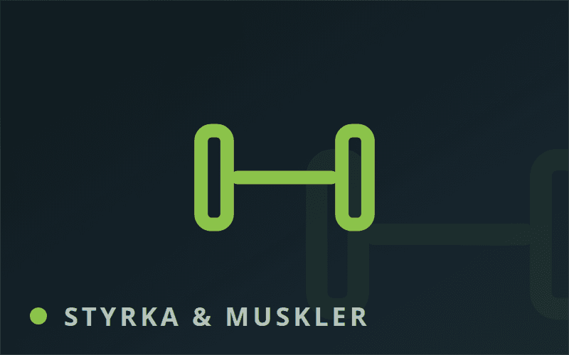Styrkeprogram och muskelprogram online