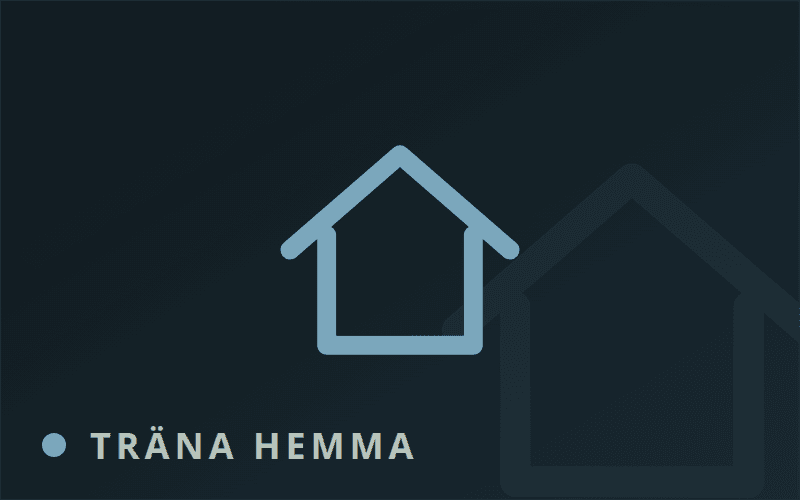 Hemmaträning med personligt träningsupplägg online